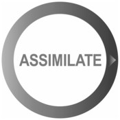 Assimilate Scratch 8.5.913 Assimilate Scratch for Mac