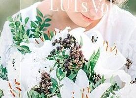 Kreativ wedding luts vol 1 to 3 icon