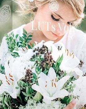 Kreativ wedding luts vol 1 to 3 icon