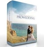 Pixel film studios prowedding wedding color grades