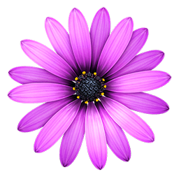 TextMate 2.0 RC 31 TextMate