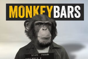 Aescripts MonkeyBars