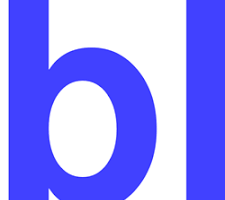 Elsten Software Bliss