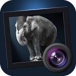 JixiPix Dramatic Black & White