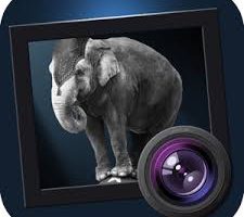 JixiPix Dramatic Black & White