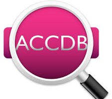 ACCDB MDB Explorer - Open, view & export Access files