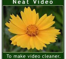 Neat Video Pro for OFX