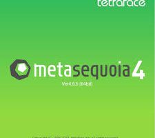 Tetraface Inc Metasequoia