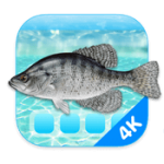 Aquarium 4K - Live Wallpaper 1.0.4 Aquarium 4K