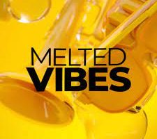Native Instruments Melted Vibes