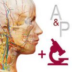 Visible Body Anatomy & Physiology