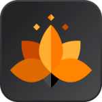 Flow Sounds 2.2 Flow Sounds