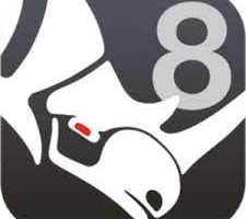 Rhino 8