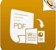 PDF Converter by Flyingbee