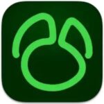 Navicat for MySQL 17.1.6 Navicat for MySQL