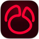 Navicat for Oracle 17.1.6 Navicat for Oracle