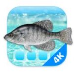 Aquarium 4K - Live Wallpaper 1.1.0 Aquarium 4K