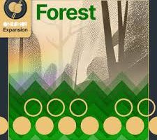 Klevgrand Forest One Shot Sound Pack