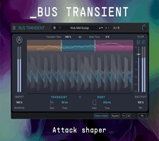 Arturia Bus TRANSIENT
