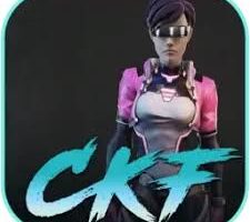 Cyber Knights Flashpoint