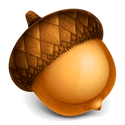 Acorn 8.4.0