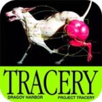 Aescripts - Tracery v1.1 Aescripts - Tracery