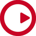 Steinberg Apps Dec 2025 v5 Bundle Steinberg Apps