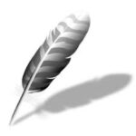 Wing Pro 11.0.7 Wing Pro